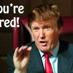 Donald Trump Youre Fired