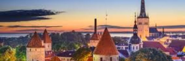 Should you start a business in Estonia?