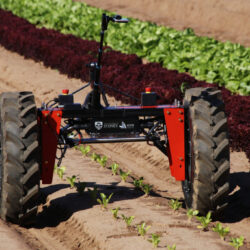Food security is a matter of putting technology to work